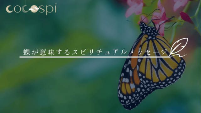 意味 蝶々 蝶を見たときのメッセージとは？幸運を表すスピリチュアル的な意味がある？