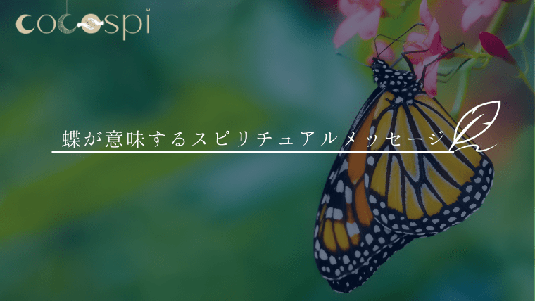 スピリチュアル 蝶を見かけた時の意味やサイン メッセージを解説 ココスピ