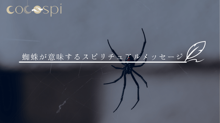 スピリチュアル 蜘蛛が持つ意味やサイン メッセージを解説 ココスピ